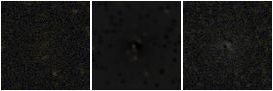 Missing file PGC043285-custom-montage-FUVNUV.png