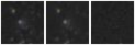 Missing file PGC043421-custom-montage-W1W2.png