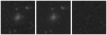Missing file PGC043580-custom-montage-W1W2.png