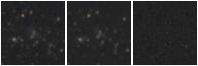 Missing file PGC086644-custom-montage-W1W2.png