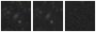 Missing file PGC1229213-custom-montage-W1W2.png