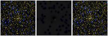 Missing file PGC1355373-custom-montage-FUVNUV.png