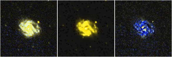 Missing file NGC4779-custom-montage-FUVNUV.png
