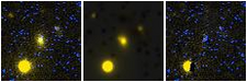Missing file NGC4803-custom-montage-FUVNUV.png