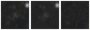Missing file PGC1373048-custom-montage-W1W2.png