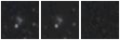 Missing file PGC1388496-custom-montage-W1W2.png