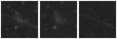 Missing file PGC166150-custom-montage-W1W2.png