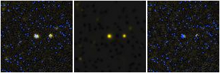 Missing file PGC3297904-custom-montage-FUVNUV.png