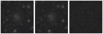 Missing file UGC08061-custom-montage-W1W2.png