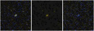 Missing file VFID6559-custom-montage-FUVNUV.png