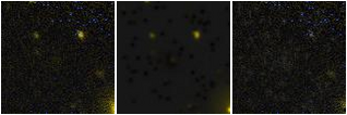 Missing file PGC2807148-custom-montage-FUVNUV.png