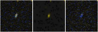 Missing file AGC238975-custom-montage-FUVNUV.png
