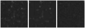 Missing file AGC238975-custom-montage-W1W2.png