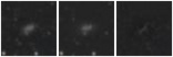 Missing file PGC046033-custom-montage-W1W2.png