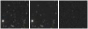 Missing file PGC3299628-custom-montage-W1W2.png