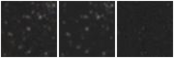 Missing file SDSSJ131245.02+375609.8-custom-montage-W1W2.png