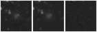 Missing file UGC08291-custom-montage-W1W2.png