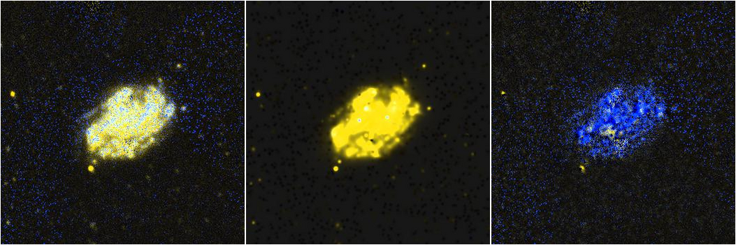 Missing file NGC5112-custom-montage-FUVNUV.png