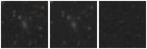 Missing file PGC1700671-custom-montage-W1W2.png
