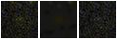 Missing file SDSSJ132951.17+463456.9-custom-montage-FUVNUV.png