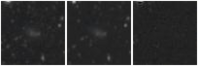 Missing file PGC048046-custom-montage-W1W2.png