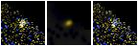 Missing file PGC3138807-custom-montage-FUVNUV.png