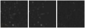 Missing file SDSSJ133713.96+443527.4-custom-montage-W1W2.png