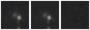 Missing file PGC048589-custom-montage-W1W2.png