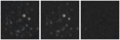 Missing file PGC1670258-custom-montage-W1W2.png