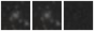 Missing file PGC2126744-custom-montage-W1W2.png
