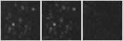 Missing file PGC2148943-custom-montage-W1W2.png