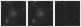Missing file PGC3138016-custom-montage-W1W2.png