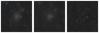 Missing file PGC1638331-custom-montage-W1W2.png