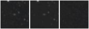 Missing file PGC169753-custom-montage-W1W2.png