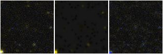 Missing file SDSSJ134910.99+401937.0-custom-montage-FUVNUV.png
