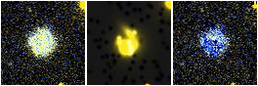 Missing file IC4341-custom-montage-FUVNUV.png