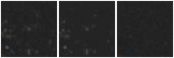 Missing file SDSSJ135534.89+440751.5-custom-montage-W1W2.png