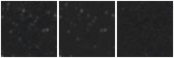 Missing file AGC239147-custom-montage-W1W2.png