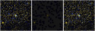 Missing file PGC1767195-custom-montage-FUVNUV.png