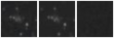 Missing file SDSSJ135749.50+421329.5-custom-montage-W1W2.png