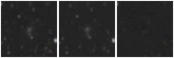 Missing file PGC2325111-custom-montage-W1W2.png
