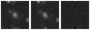 Missing file PGC2366568-custom-montage-W1W2.png