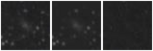 Missing file SDSSJ140239.47+500153.8-custom-montage-W1W2.png