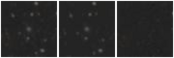 Missing file PGC2380196-custom-montage-W1W2.png