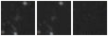 Missing file SDSSJ140432.07+511405.0-custom-montage-W1W2.png