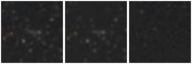 Missing file PGC091337-custom-montage-W1W2.png