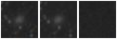 Missing file PGC1278091-custom-montage-W1W2.png
