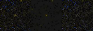 Missing file VFID1864-custom-montage-FUVNUV.png