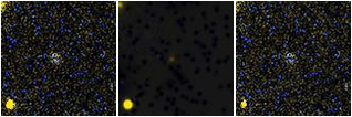 Missing file AGC243830-custom-montage-FUVNUV.png