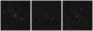 Missing file SDSSJ141354.14+551603.3-custom-montage-FUVNUV.png